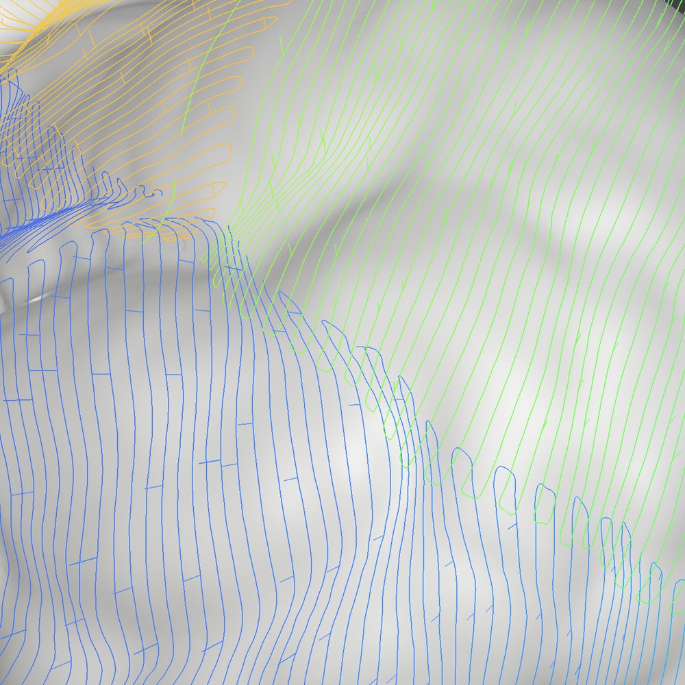 Close-up of dense, connected toolpath lines on the bunny surface.