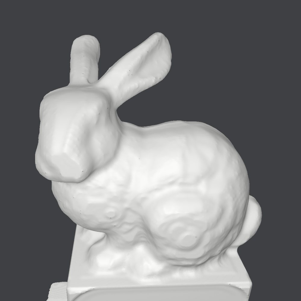 Simulated roughed bunny surface.