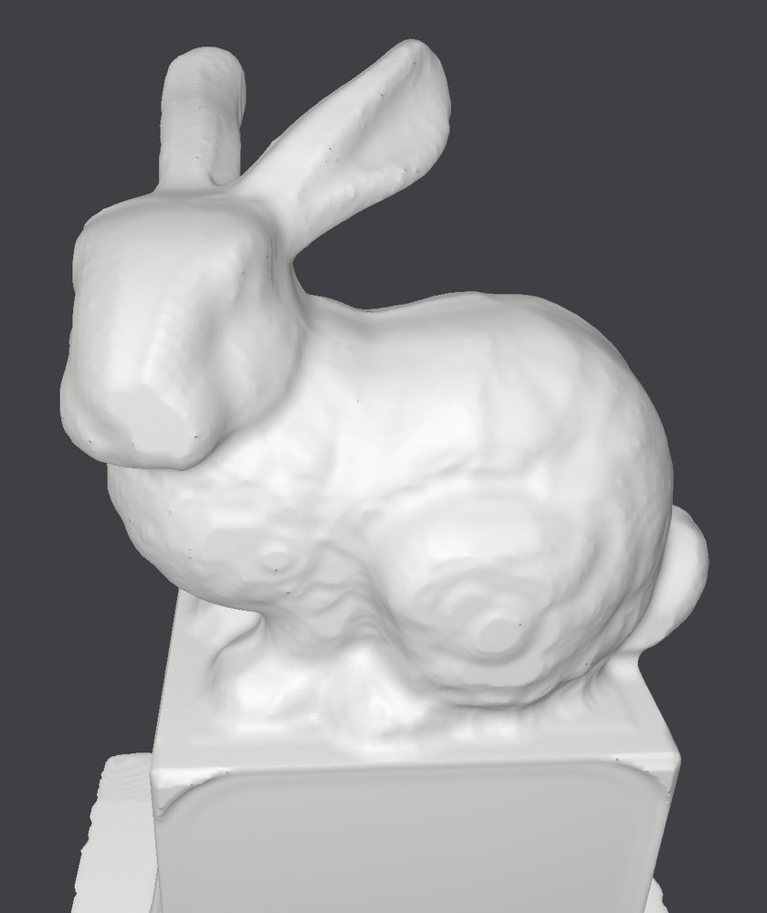 Simulated bunny as left by roughing.